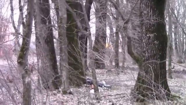 фильм Ксении Токаревой о природе