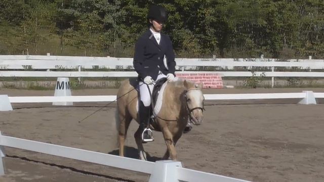 Treningsstevne Isabell, LC:3 17.09.16 смотреть онлайн