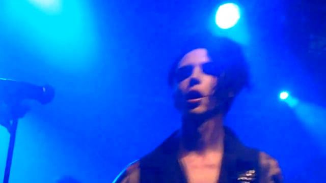 Andy Biersack finally gets his seagulls смотреть онлайн