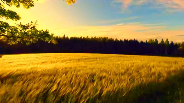 Arthur Cowslip Found Horizons смотреть онлайн