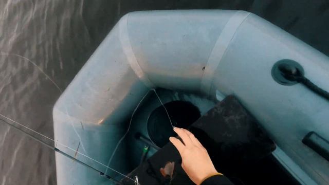 Рыбалка на ТЭЦ-2, закрываю сезон и плюс еще одна окуневая точка. смотреть онлайн