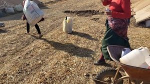 An amazing trip and watching a new and different season of a thousand-year-old nomadic life in Iran