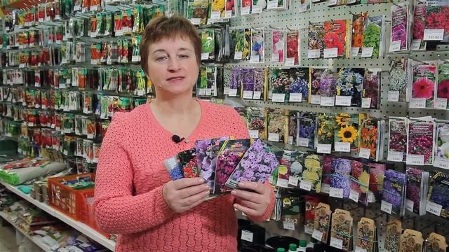 Как выбрать семена цветов для участка смотреть онлайн