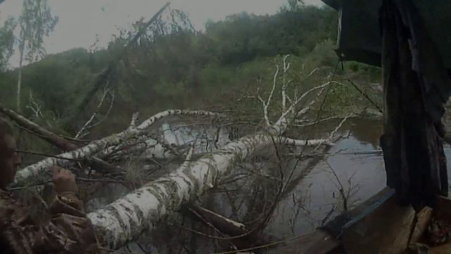 туйское сумашествие рекл ролик смотреть онлайн