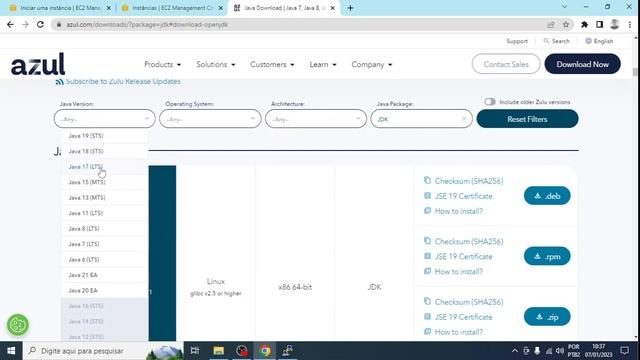 09-Baixando o Java Zulu JDK 17 LTS смотреть онлайн