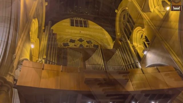 This Church Has FOUR Pipe Organs!! A Tour of St Mary's Cathedral, Sydney смотреть онлайн