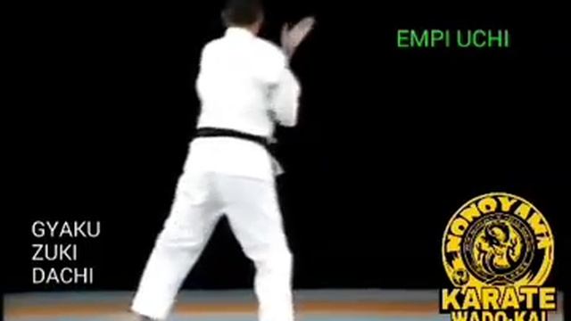 KUSHANKU - Wado Kai - Legendado por Maicon Nonoyama смотреть онлайн