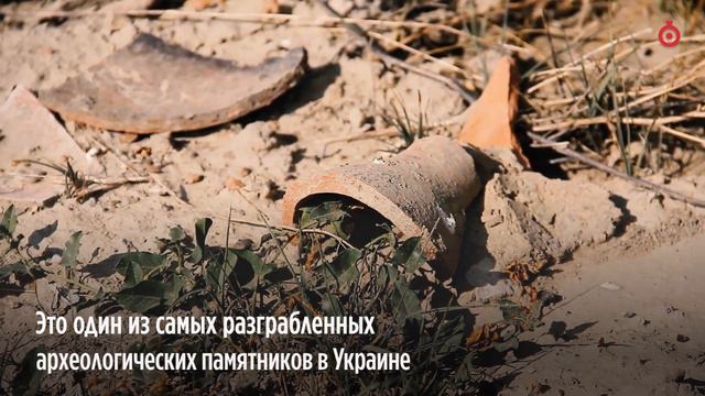 Черные археологи разграбили античный Никоний в Одесской области / Таймер смотреть онлайн