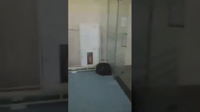 BN7ZaeK9wSFl1EQ Всероссийские соревнования по плаванию Амурские тигрята идет разминка смотреть онлайн