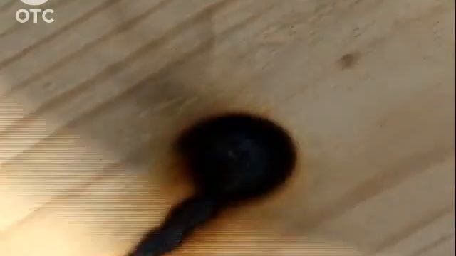 День летнего солнцестояния: самый длинный день и самая короткая ночь смотреть онлайн