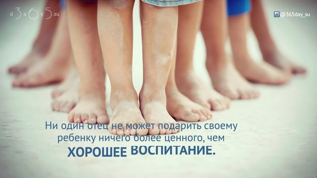 Сборник хадисов Тирмизи | Хорошее воспитание смотреть онлайн