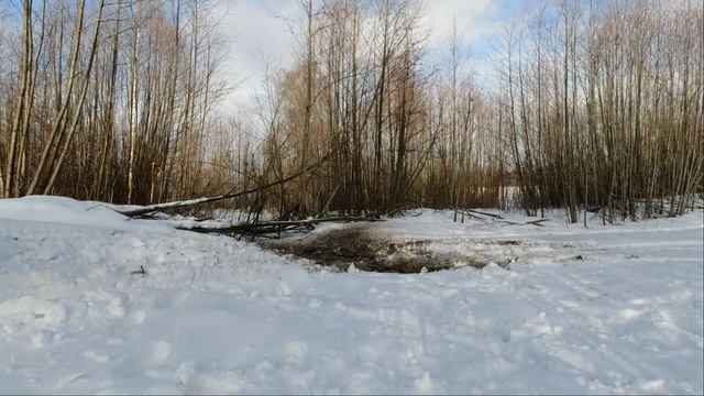 БЕЗДОРОЖЬЕ / OFF ROAD FAIL / TOYOTA LAND CRUISER смотреть онлайн