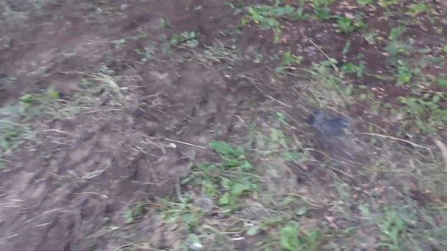 Откуда берутся пожары лесные... смотреть онлайн