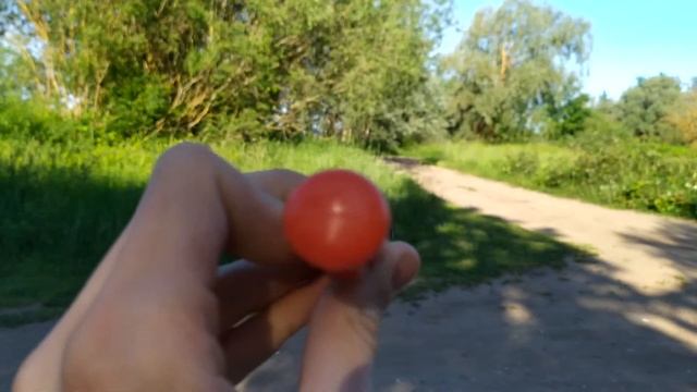 Инструмент для вынимания пластмассовых заклёпок с Wisha смотреть онлайн