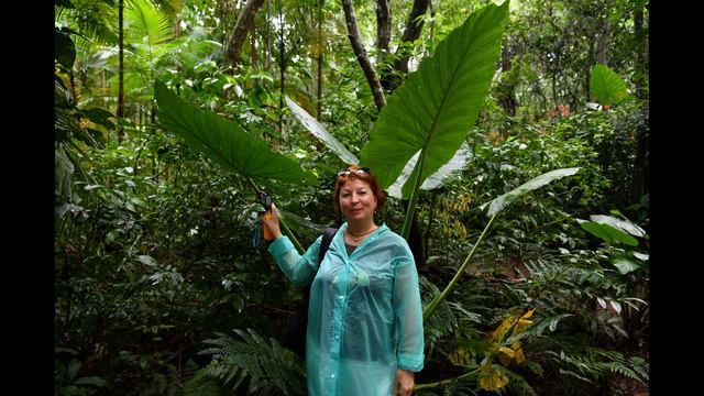 игуасу смотреть онлайн