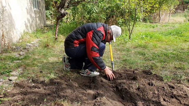 10 Кашляну и начну копать (3).mp4 смотреть онлайн
