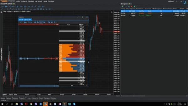 Биржевой стакан в TigerTrade