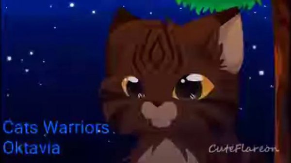Cats Warriors - Коты воители (Top 2 Animation Cats Warriors - топ 2 анимации котов водителей)