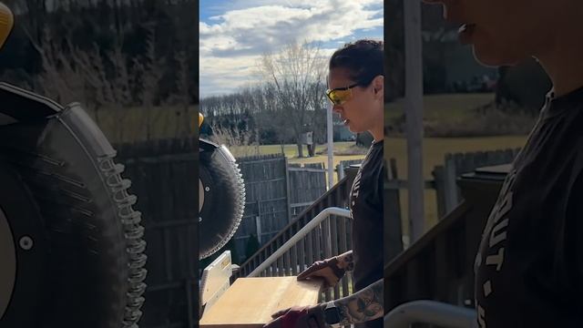 GIANT python has her own HOUSE? смотреть онлайн