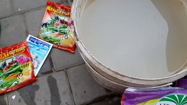 Время подкормить лаванду и другие растения. смотреть онлайн