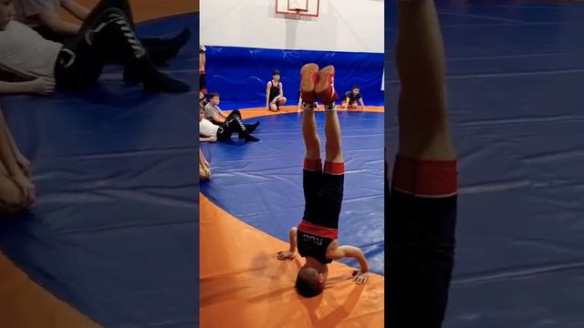 стойка на голове 🤸♂️ #борьба #грекоримскаяборьба #wrestling #спарта смотреть онлайн
