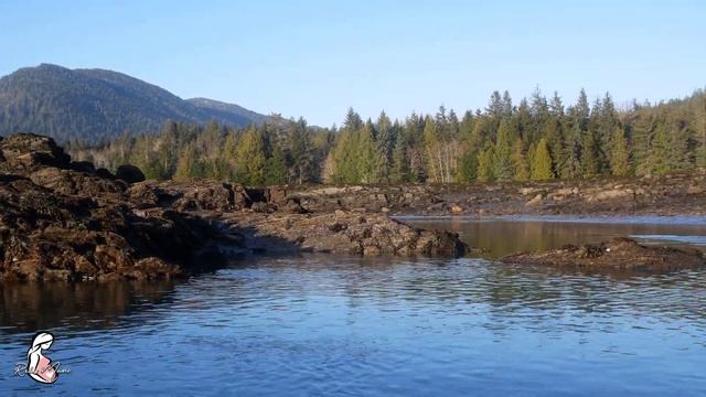 Расслабляющая музыка для беременных ❤️Музыка для развития мозга и умных детей смотреть онлайн