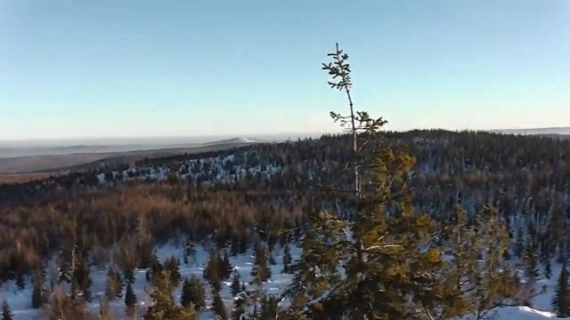 Первый выезд на снегоходе Тайга - Люкс 550 после ремонта поршневой. смотреть онлайн