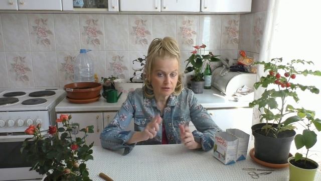 Сеем арбузы на рассаду смотреть онлайн