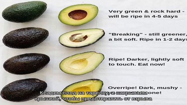 Что делать с недозрелым авокадо? смотреть онлайн