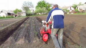 Окучивание картофеля или спасаем от заморозков!