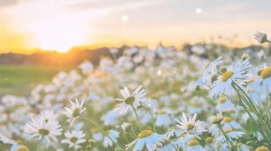 Иван Купала ( Молодость )