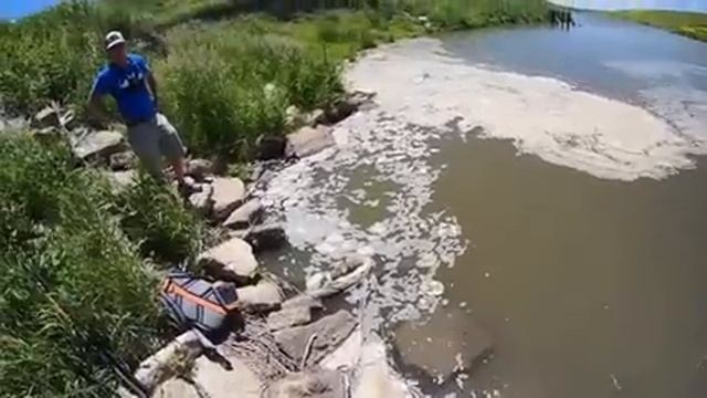 How do CATFISH GET THIS BIG?! (MONSTER) смотреть онлайн