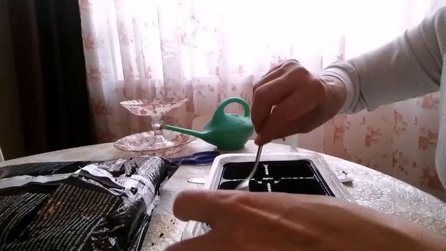 Посев петунии и агератума на рассаду. Весенние заботы. смотреть онлайн