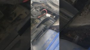 Audi A4 b6 не заводится, не видит блок управления двигателем. Реле 429