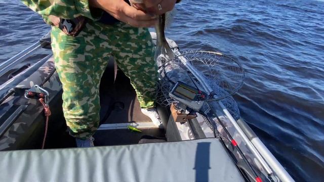 Рыбалка на РЫБИНСКОМ водохранилище. Рванули в МОРЕ. Адмирал 335 Camo на моторе HDX 9.9. смотреть онлайн