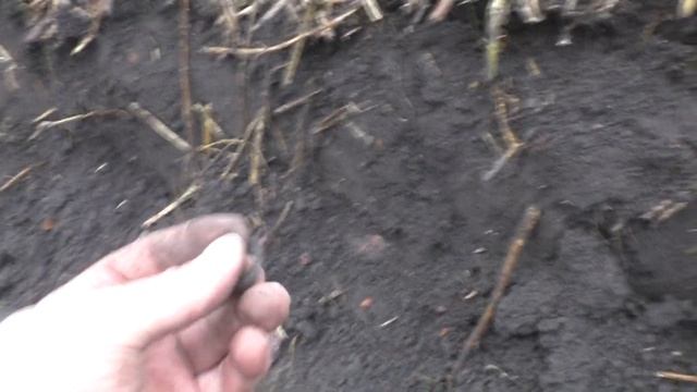 #ШУРФ / НАХОЖУ МОНЕТЫ ГЛАЗАМИ / ВЫЛЕТАЮТ ОДНА ЗА ДРУГОЙ ! смотреть онлайн