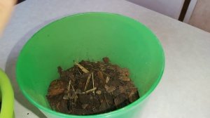 5 ошибок в выращивании ОРХИДЕЙ? что нельзя делать и что нужно делать, чтобы ваши орхидеи были счаст