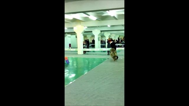 Жером Бриллиант на выставке моно 27 01 13 смотреть онлайн