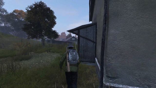 На нас напали медведи - DayZ смотреть онлайн