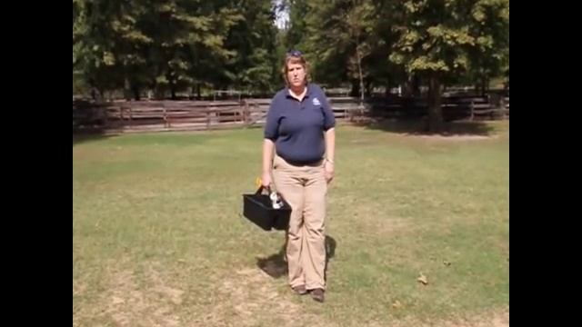 Field Surgery: Equine Castration Part 1