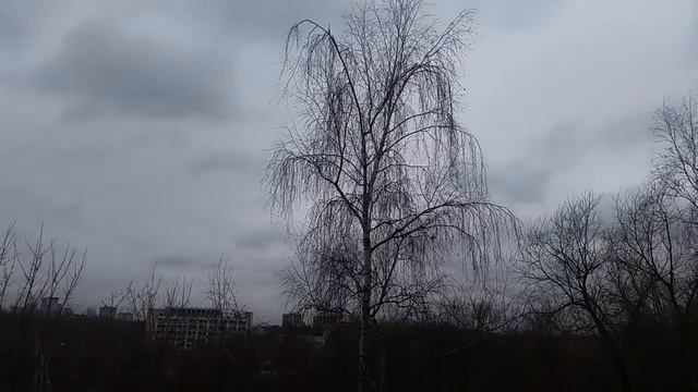 Волшебный прогноз снега сегодня не будет 18 12 17 с 1 смотреть онлайн
