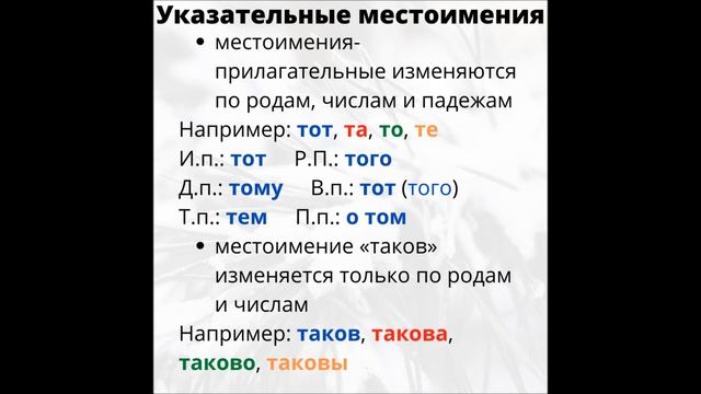 Местоимение. Указательные местоимения смотреть онлайн