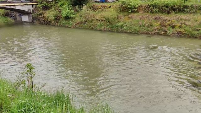 Huawei P60 Pro Review - DXOMARK's #1 Camera In The World!