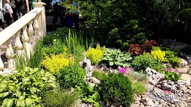 1 июня День Защиты Детей смотреть онлайн