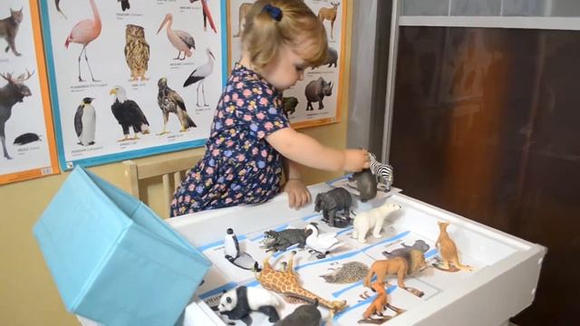 Развивающий урок на знание диких и домашних животных. смотреть онлайн