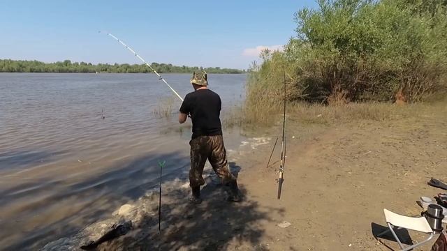Рыбалка.Плотва на донку. смотреть онлайн