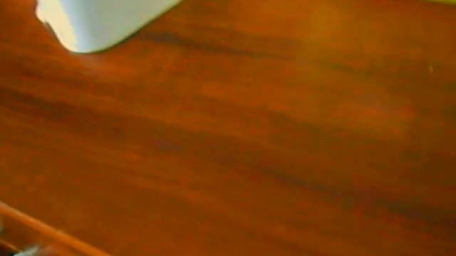 Как ухаживать за сирийским хомяком