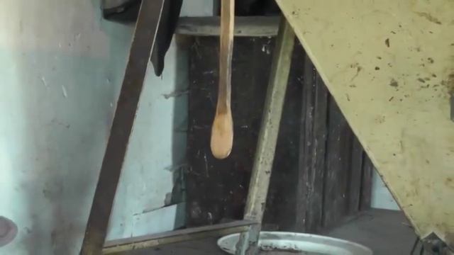 Secretive Plant Care