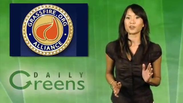 Daily Greens 78 - Eco News with Sass смотреть онлайн