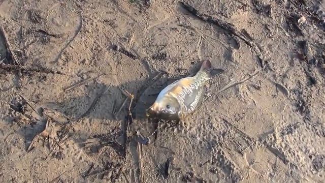 Поехали Мы на *Рыбалку* (^_^) смотреть онлайн